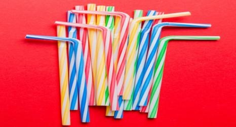 环保型防蚁母粒开发